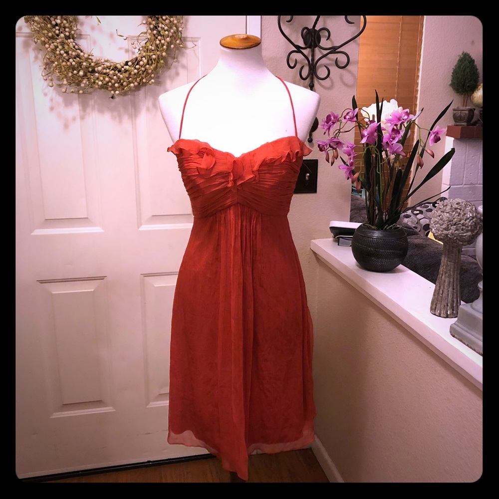 Amsale Silk Chiffon Gorgeous Bridesmaids Dress
